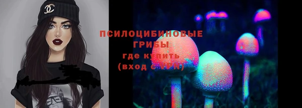 гидра Корсаков