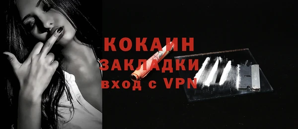 гидра Корсаков