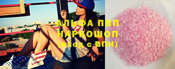 гидра Корсаков