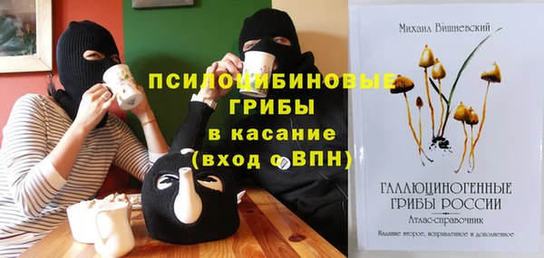 гидра Корсаков