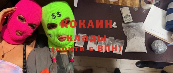 гидра Корсаков